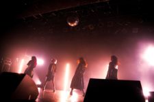 PIGGS(photo by METTY) PIGGS(photo by METTY)