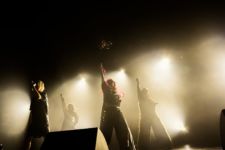 PIGGS(photo by METTY) PIGGS(photo by METTY)